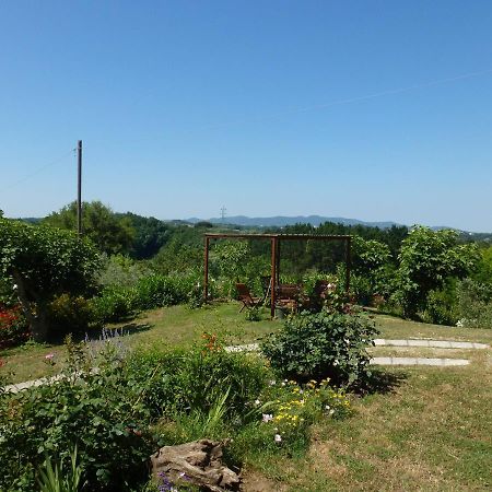 Agriturismo Poggio Al Tesoro 크레스피나 외부 사진