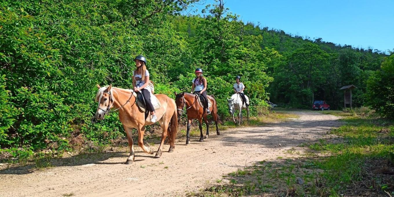 Agriturismo Poggio Al Tesoro 크레스피나 외부 사진