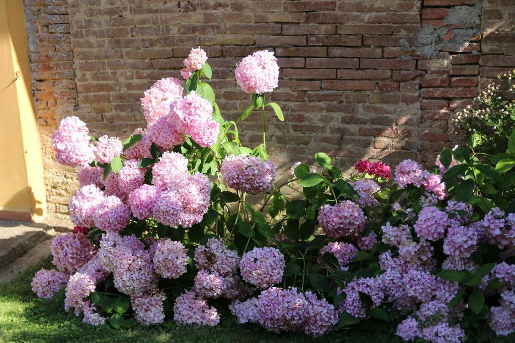 Agriturismo Poggio Al Tesoro 크레스피나 외부 사진