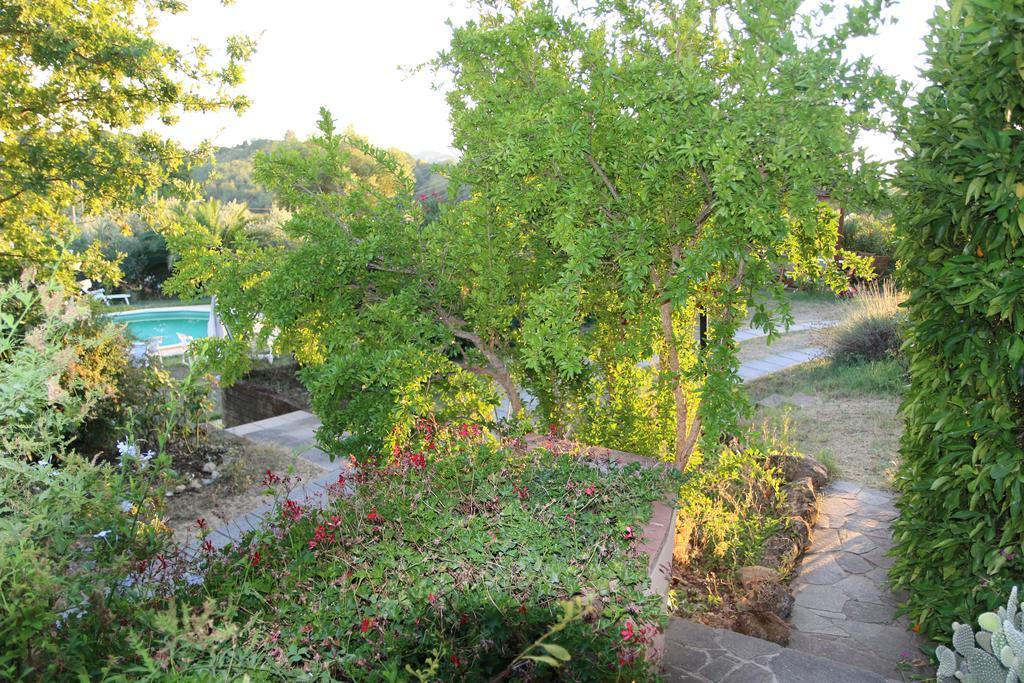 Agriturismo Poggio Al Tesoro 크레스피나 외부 사진