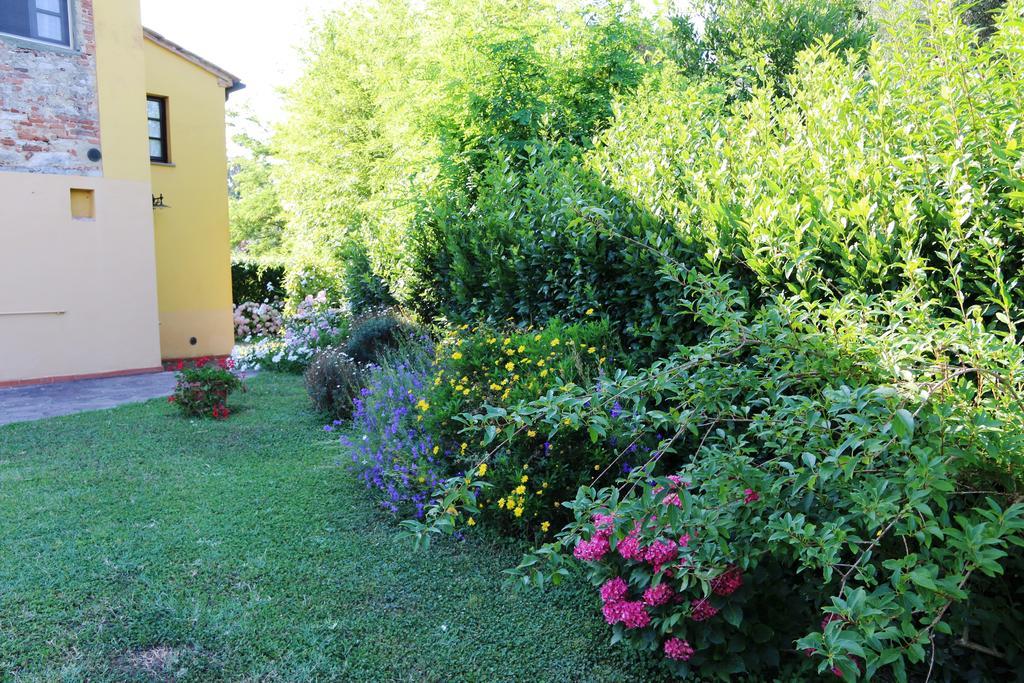 Agriturismo Poggio Al Tesoro 크레스피나 외부 사진