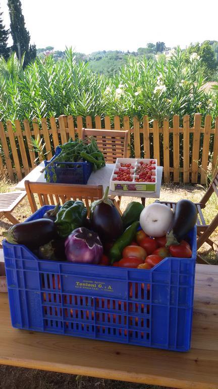 Agriturismo Poggio Al Tesoro 크레스피나 객실 사진